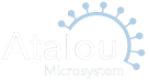 Atalou Microsystem